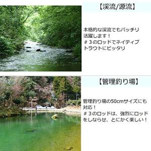 激安 1 入門セット フライフィッシング ノーブランド品 渓流 フライボックス インジケーター 完成フライ リーダー フライライン フライリール フライロッド 管理釣り場 フライ