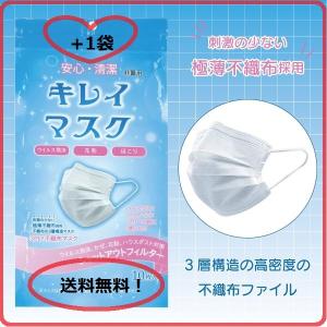 (ご好評)＋１袋！ 安全 清潔 キレイマスク (1袋１０枚入り) 携帯用 不織布 3層 ふつうサイズ プリーツタイプ ノーズピース 男女兼用 ウイルス対策 ポイント消化