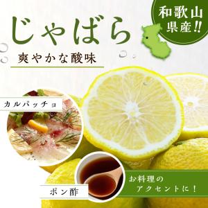 じゃばら果汁 ストレート 720ml×3本 紀...の詳細画像1