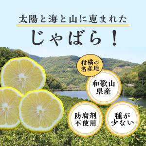 じゃばら果汁 ストレート 720ml×3本 紀...の詳細画像4
