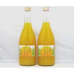 紀伊路屋 じゃばらとみかんのオレンジエード720ml2本セッ...