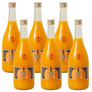 SUNTORY（サントリー） オレンジ100 紙パック 1L 1000ml × 6本 ケース