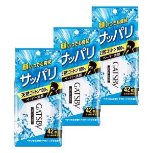 GATSBY(ギャツビー) フェイシャルペーパー 洗顔シート メンズ 徳用 セット 42枚×3個｜kiiroihachi