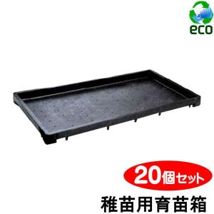 100枚特価 育苗箱稚苗用H型 再生ブラック 育苗 水稲用 100枚特価 育苗箱稚苗用H型 再生ブラック 育苗 水稲用