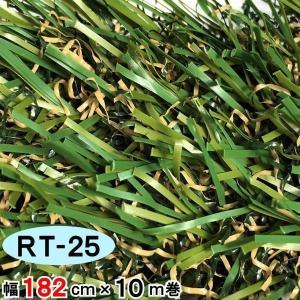 人工芝 芝生 リアル人工芝 国内生産 高密度 人...の商品画像