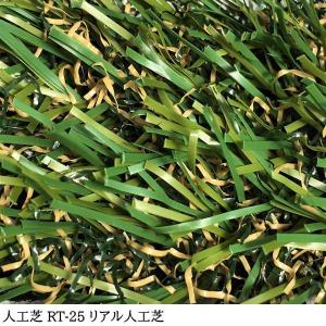人工芝 芝生 リアル人工芝 国内生産 高密度 ...の詳細画像1