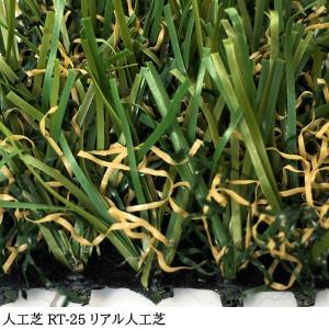 人工芝 芝生 リアル人工芝 国内生産 高密度 ...の詳細画像4