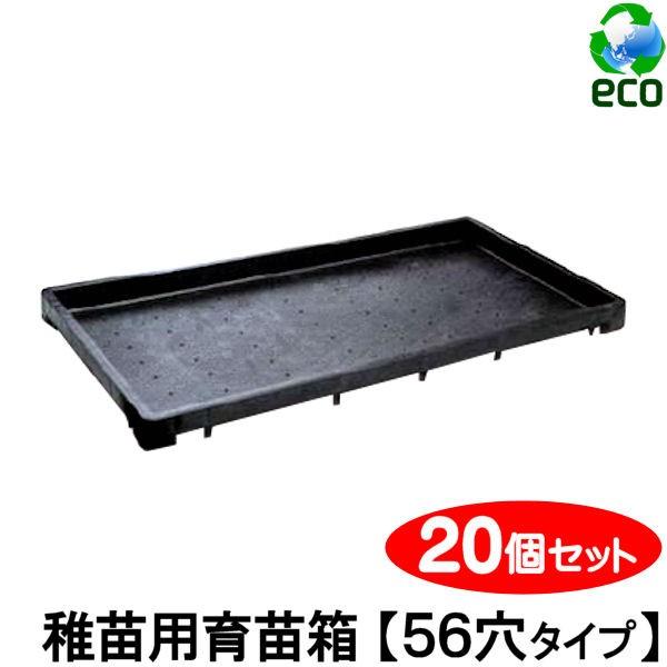 育苗箱 苗箱 苗 肥料 根 根離れ 通水性 種 たね タネ さし木 さし芽 挿し木 種まき / 稚苗...