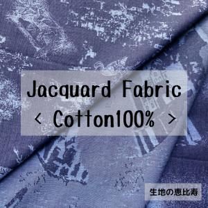 生地 インド デニム ジャカード 綿100%の商品画像