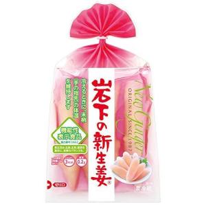 岩下食品 岩下の新生姜80g×15パック