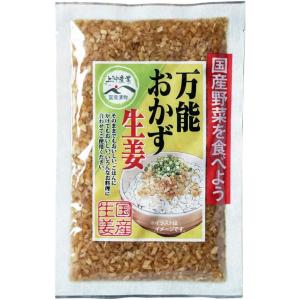 国産万能おかず生姜130g 食卓に彩りを 來島商店 食品 食材 食べ物 まとめ買い 大量買い 業務用...