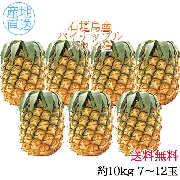 ギフト 沖縄 石垣島産 パイナップル ハワイ種 10kg 6〜9玉 沖縄 お土産