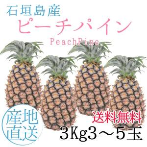 ギフト 沖縄 石垣島産 ピーチパイン 3kg 3〜5玉 沖縄 お土産 フルーツギフト