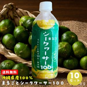 沖縄県産 まるごとシークワーサー100 原液 果汁100% 無添加 500ml×10本セット 沖縄土産 沖縄お土産｜kijimaya