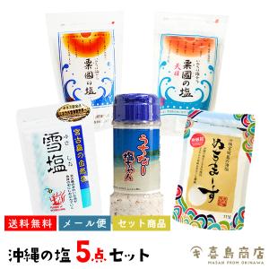 粟國の塩 160g 天日塩100g 雪塩60g うちな〜塩ちゃん180g ぬちまーす111g 5点セット