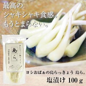 らっきょう 沖縄 漬物 ヨシおばぁの手作り 島ら。塩漬け 100g｜kijimaya