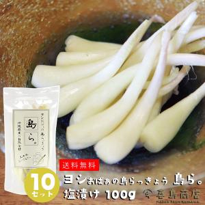 沖縄 島らっきょう ヨシおばぁの手作り 島ら。塩漬け 100g×10袋