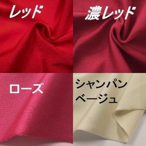 2WAYスパンデックス光沢15色の詳細画像5