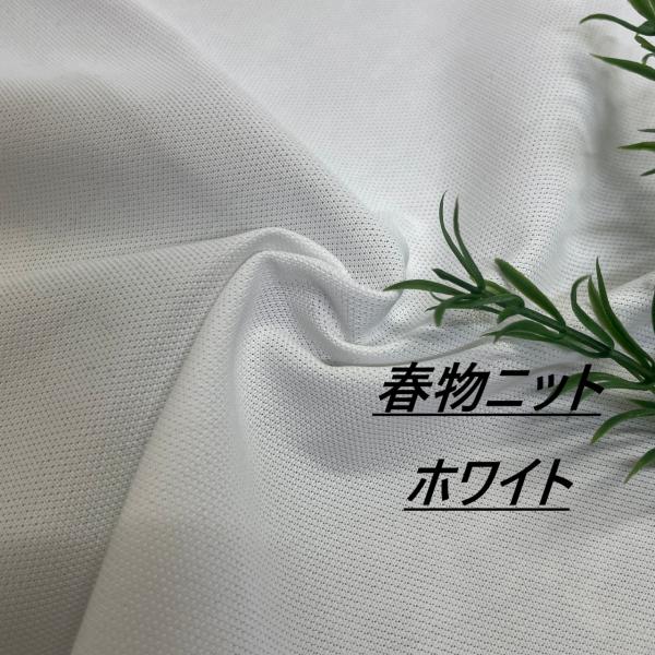 春物 ニット 白 生地 布 長50cm単位で延長可能 布地専門店 kijiya /h-f24