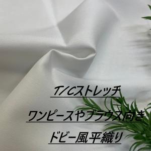 ワンピースやブラウス向き 生地 ドビー風 オフ白 弱ストレッチ 布 長50cm単位で延長可能 手芸 ソーイング 洋服 布地専門店 kijiya /hira-so41