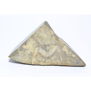 化石標本　コウモリ石　中国産｜kijo-yuen