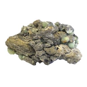 鉱物標本 原石 コニカルコ石 Conichalcite メキシコ産 : PEN POINT