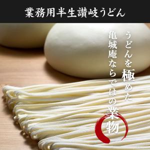 業務用半生うどん1kg並切麺 本場香川から製造...の詳細画像1