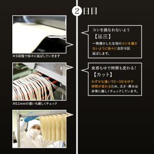 業務用半生うどん1kg並切麺 本場香川から製造...の詳細画像4