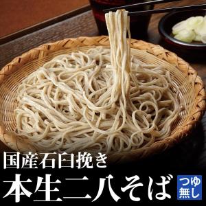 本生二八そばつゆ無セット【8食入】【SB-8040】｜kijoanudon