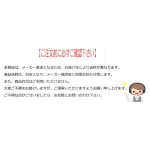 デンヨー GAW-190ES2 ガソリン エン...の詳細画像2