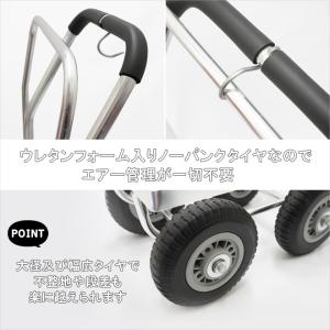 アルミハウスカー ブレーキ付き コンテナ 1個...の詳細画像5