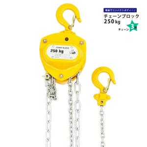新品　【スリーエッチ】電気チェーンブロック ES250㎏×6m スリーエッチ 電気チェーンブロック ES250kg×6m 定格荷重250kg HHH