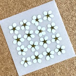 ゆきやなぎの小花押し花印刷シール文字 草花シー...の詳細画像1