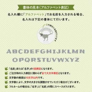 名入れ 缶バッジ プレゼント 恐竜 ダイナソー...の詳細画像2