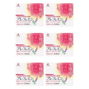 プレフェミン 30錠 × 6個セット PMS 市販薬【第2類医薬品】生理前 月経前症候群 改善 治療薬 チェストベリー配合｜株式会社菊池薬店