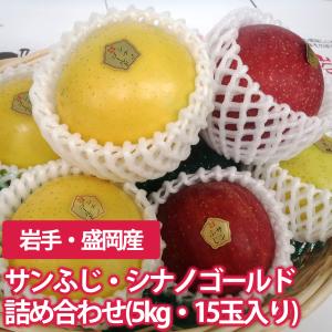サンふじりんご10玉・シナノゴールド5玉リンゴ詰め合わせ(5kg)｜kikuko-store