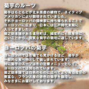 【送料無料】10%以上増量!菊芋の粉100グラ...の詳細画像2