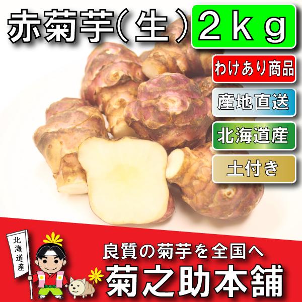 【わけあり商品】北海道産 無農薬 化学肥料不使用 生 土付き 赤 2kg