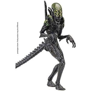 Hiya Toys Alien vs. Predator Grid Alien 118 Scale Action Figure Multicolor