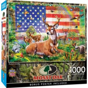 MasterPieces 1000 Piece Jigsaw Puzzle for Adults Family Or Kids  Radiant Co