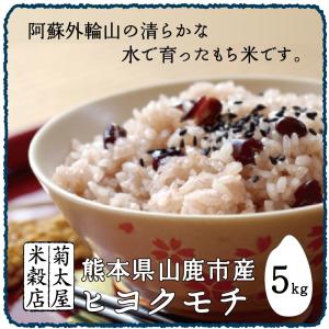 もち米 5kg「29年産 熊本県山鹿市産 ヒヨクモチ」...