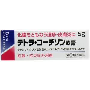 テトラコーチゾン軟膏 5g