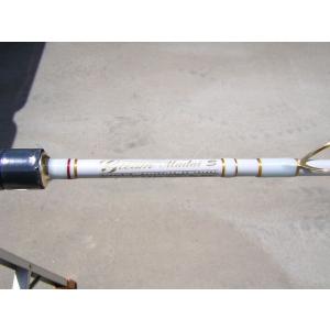 DAIWA（ダイワ） 24 タトゥーラ XT 6112HSB (バスロッド) ベイトモデル