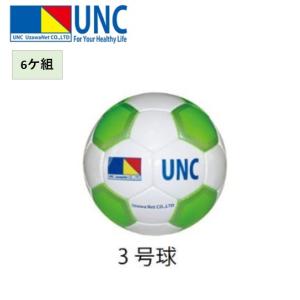 EVERNEW（エバニュー） (送料別)EVERNEW サッカーゴール用ペグ丸16（2