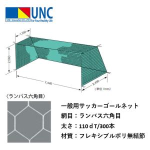 EVERNEW（エバニュー） サッカー 一般サッカーゴールネットS114 角目