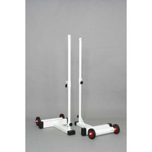 EVERNEW（エバニュー） (個人宅配送不可) バドミントン 学校 体育