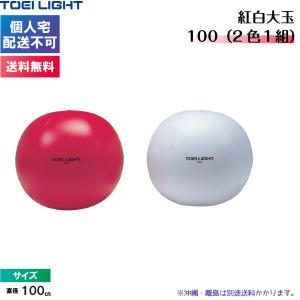 (個人宅配送不可)(送料無料) トーエイライト...の詳細画像1
