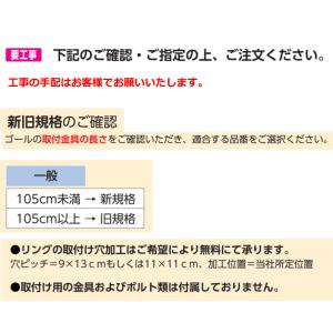 (個人宅配送不可)(送料無料) 一般バスケット...の詳細画像2