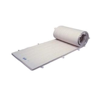 EVERNEW（エバニュー） (個人宅配送不可)エバニュー 体操マット 体育