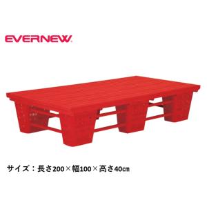 （送料無料）（個人宅配送不可）EVERNEW　エバニュー　水泳　プルー　アクアフロア　200×100×40cm　EHB281